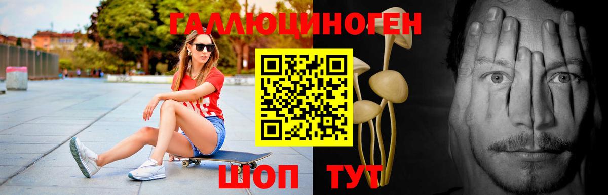 Верхняя Пышма  Галлюциногенные грибы мухоморы  купить   Вход с VPN 